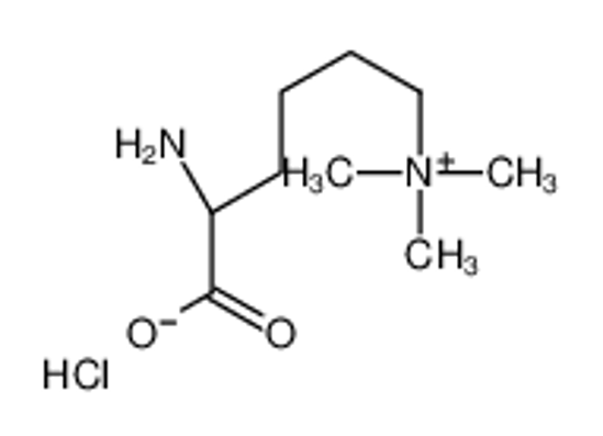 Picture of Nε,Nε,Nε-Trimethyllysine hydrochloride