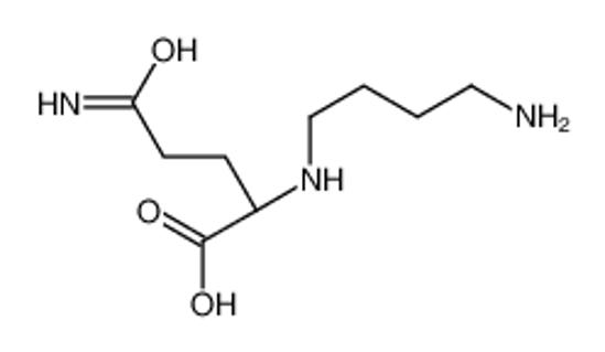 Picture of (2S)-5-amino-2-(4-aminobutylamino)-5-oxopentanoic acid