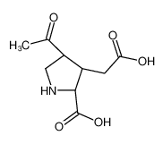 Picture of (2S,3S,4R)-4-acetyl-3-(carboxymethyl)pyrrolidine-2-carboxylic acid