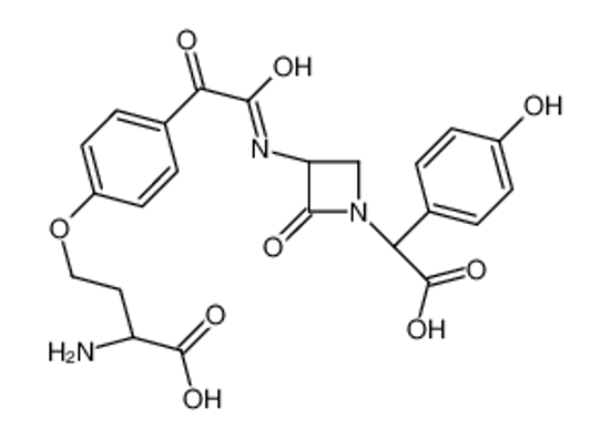 Imagem de (2R)-2-amino-4-[4-[2-[[(3S)-1-[(R)-carboxy-(4-hydroxyphenyl)methyl]-2-oxoazetidin-3-yl]amino]-2-oxoacetyl]phenoxy]butanoic acid