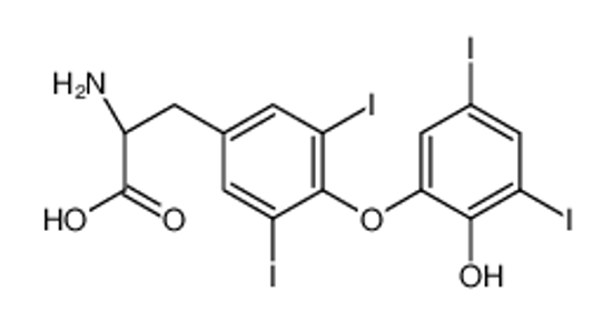 Picture of (2S)-2-amino-3-[4-(2-hydroxy-3,5-diiodophenoxy)-3,5-diiodophenyl]propanoic acid