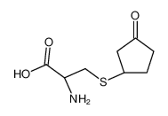 Imagem de (2R)-2-amino-3-(3-oxocyclopentyl)sulfanylpropanoic acid