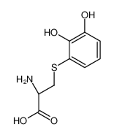 Picture of (2R)-2-amino-3-(2,3-dihydroxyphenyl)sulfanylpropanoic acid
