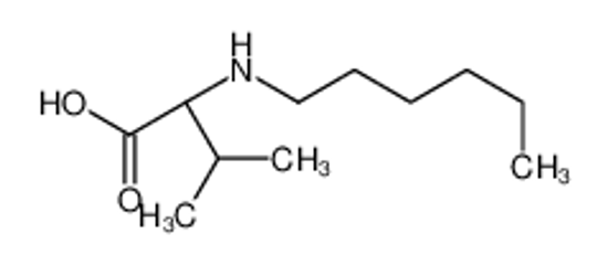 Picture of (2S)-2-(hexylamino)-3-methylbutanoic acid