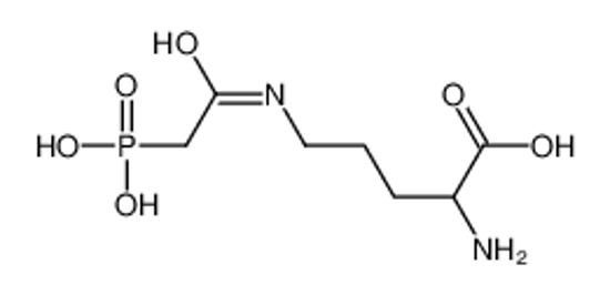 Picture of 2-amino-5-[(2-phosphonoacetyl)amino]pentanoic acid