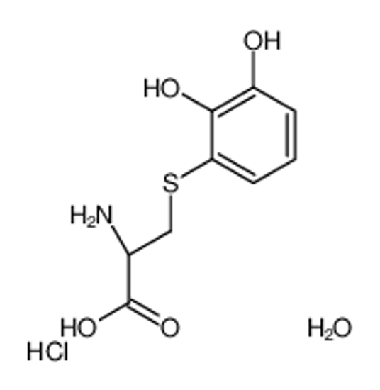 Picture of (2R)-2-amino-3-(2,3-dihydroxyphenyl)sulfanylpropanoic acid,hydrate,hydrochloride