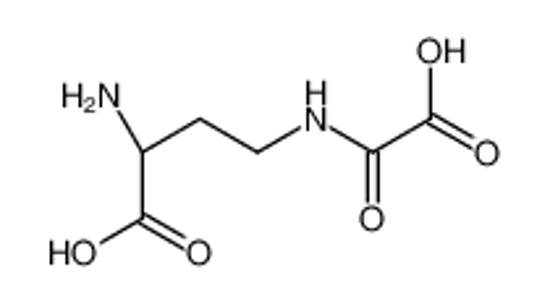 Picture of L-α-amino-γ-oxalylaminobutyric acid
