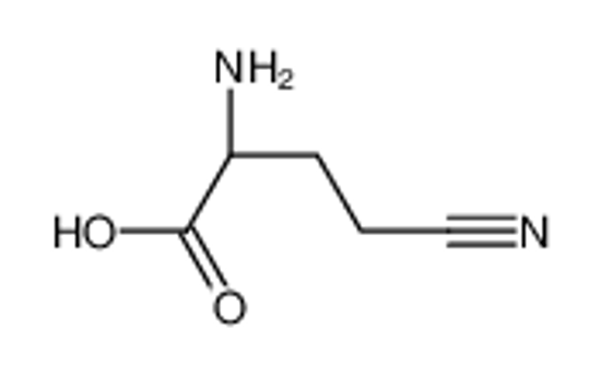 Imagem de (2R)-2-amino-4-cyanobutanoic acid