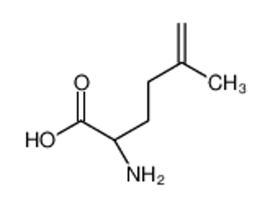 Изображение (2S)-2-amino-5-methylhex-5-enoic acid