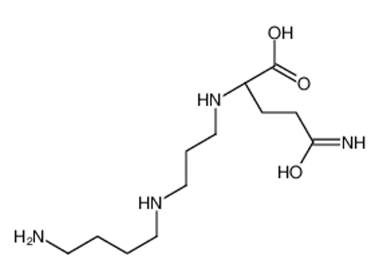 Imagem de (2S)-5-amino-2-[3-(4-aminobutylamino)propylamino]-5-oxopentanoic acid