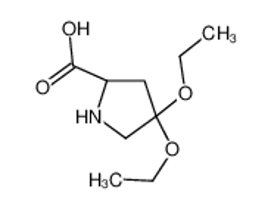 Picture of (2S)-4,4-diethoxypyrrolidine-2-carboxylic acid