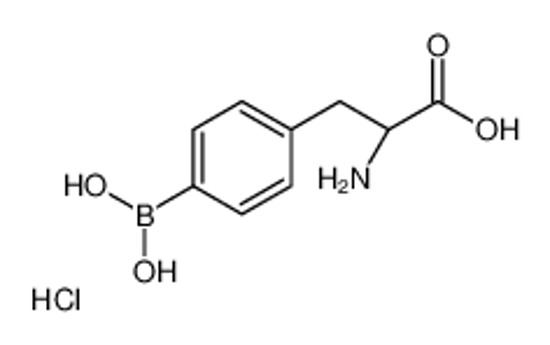 Picture of (2S)-2-amino-3-(4-boronophenyl)propanoic acid,hydrochloride
