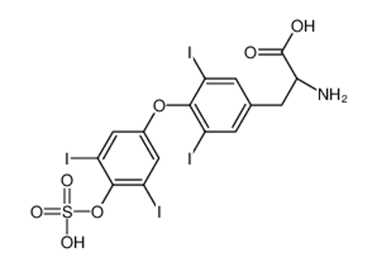 Picture of thyroxine sulfate