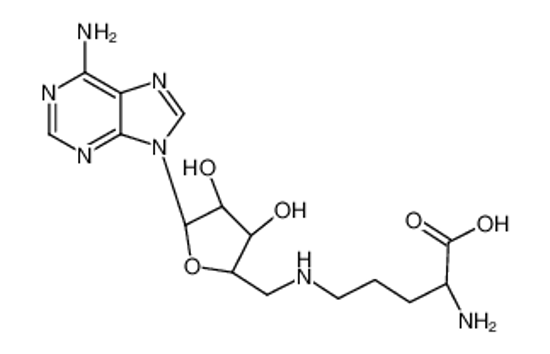 Picture of 2-amino-5-[[(2R,3R,4R,5R)-5-(6-aminopurin-9-yl)-3,4-dihydroxyoxolan-2-yl]methylamino]pentanoic acid