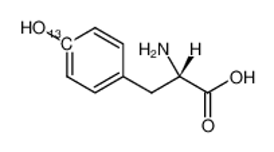 Picture of L-Tyrosine-(phenyl-4-13C)