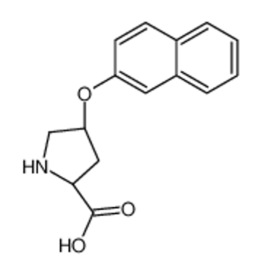 Изображение (2S,4S)-4-naphthalen-2-yloxypyrrolidine-2-carboxylic acid