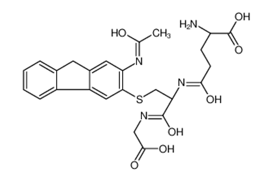 Изображение (2S)-5-[[(2R)-3-[(2-acetamido-9H-fluoren-3-yl)sulfanyl]-1-(carboxymethylamino)-1-oxopropan-2-yl]amino]-2-amino-5-oxopentanoic acid