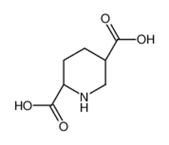 Picture of (2S,5S)-piperidine-2,5-dicarboxylic acid