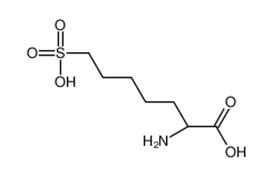 Imagem de (2R)-2-amino-7-sulfoheptanoic acid
