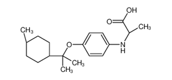 Picture of (2S)-2-[4-[2-(4-methylcyclohexyl)propan-2-yloxy]anilino]propanoic acid