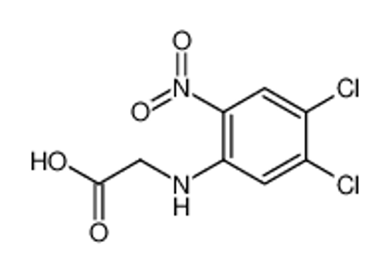 Picture of 2-(4,5-dichloro-2-nitroanilino)acetic acid