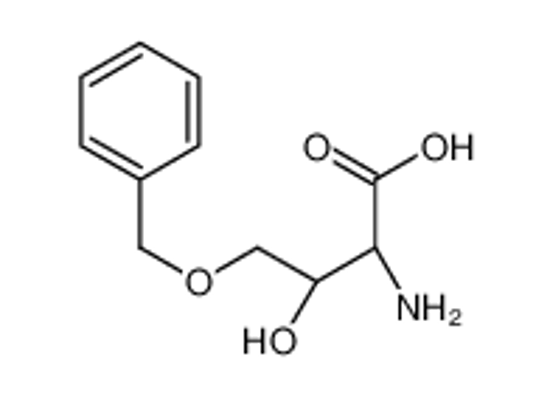 Picture of (2R,3R)-2-amino-3-hydroxy-4-phenylmethoxybutanoic acid