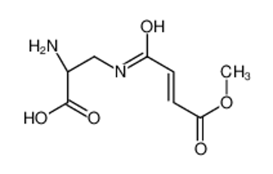 Picture of N(3)-(4-methoxyfumaroyl)-2,3-diaminopropionic acid