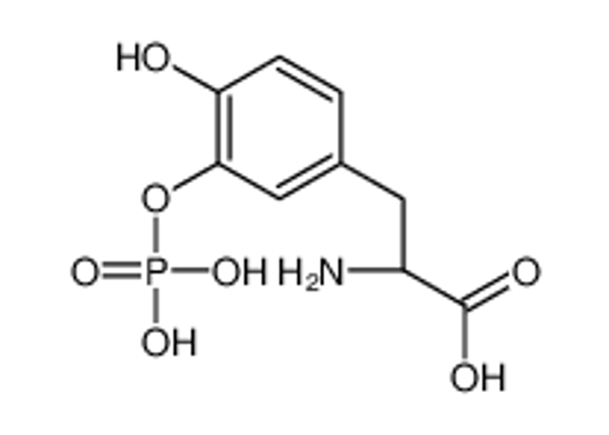 Picture of (2S)-2-amino-3-(4-hydroxy-3-phosphonooxyphenyl)propanoic acid