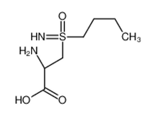 Picture of (2R)-2-amino-3-(butylsulfonimidoyl)propanoic acid