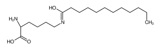Imagem de (2S)-2-amino-6-(dodecanoylamino)hexanoic acid