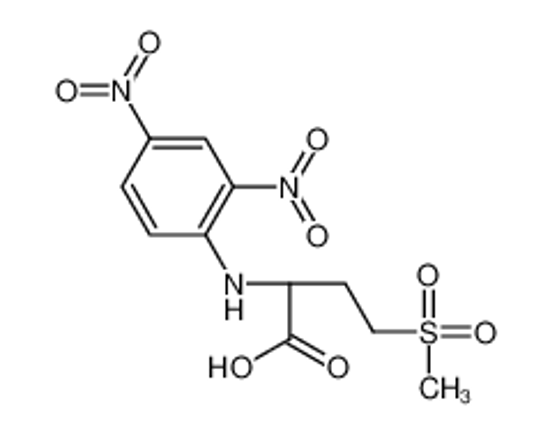 Изображение (2S)-2-(2,4-dinitroanilino)-4-methylsulfonylbutanoic acid