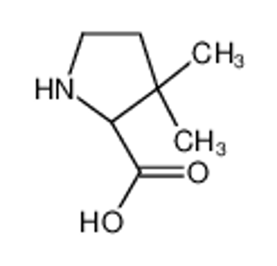 Picture of (2S)-3,3-dimethylpyrrolidine-2-carboxylic acid
