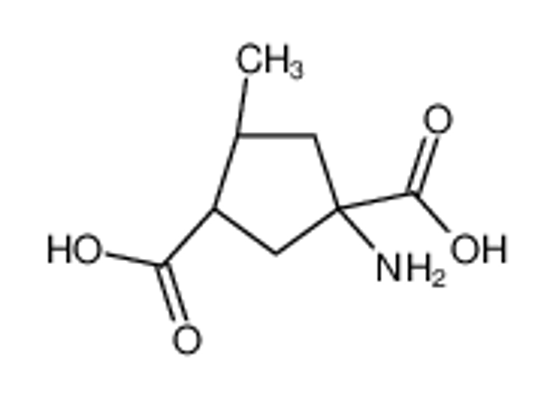 Picture of (1S,3S,4R)-1-amino-4-methylcyclopentane-1,3-dicarboxylic acid