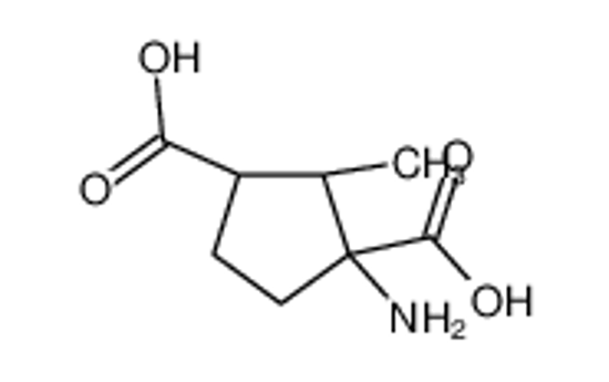 Picture of (1S,2S,3R)-1-amino-2-methylcyclopentane-1,3-dicarboxylic acid