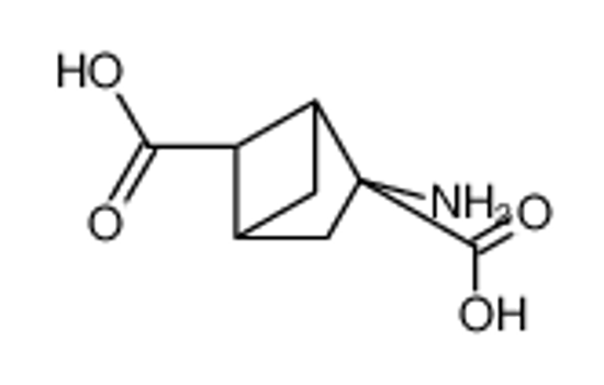 Imagem de (1S,3S,4S,5S)-3-aminobicyclo[2.1.1]hexane-3,5-dicarboxylic acid