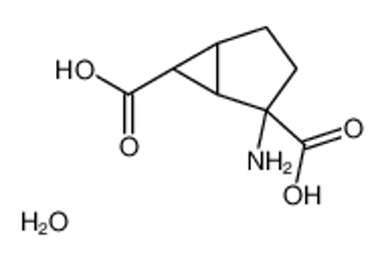 Imagem de (1S,2S,5R,6S)-2-aminobicyclo[3.1.0]hexane-2,6-dicarboxylic acid,hydrate