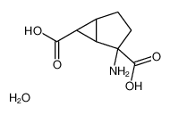 Picture of (1S,2S,5R,6S)-2-aminobicyclo[3.1.0]hexane-2,6-dicarboxylic acid,hydrate