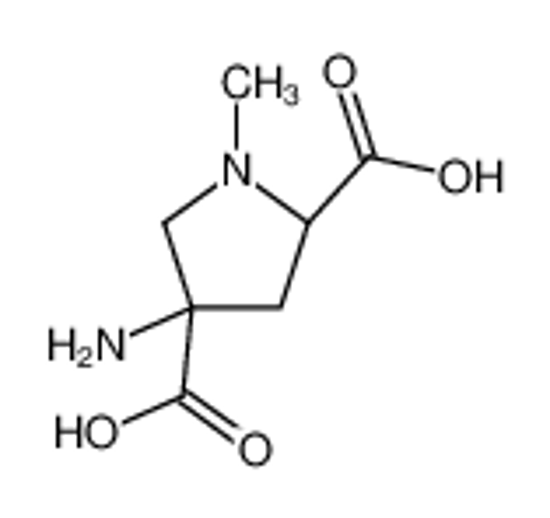 Picture of (2R,4R)-4-amino-1-methylpyrrolidine-2,4-dicarboxylic acid