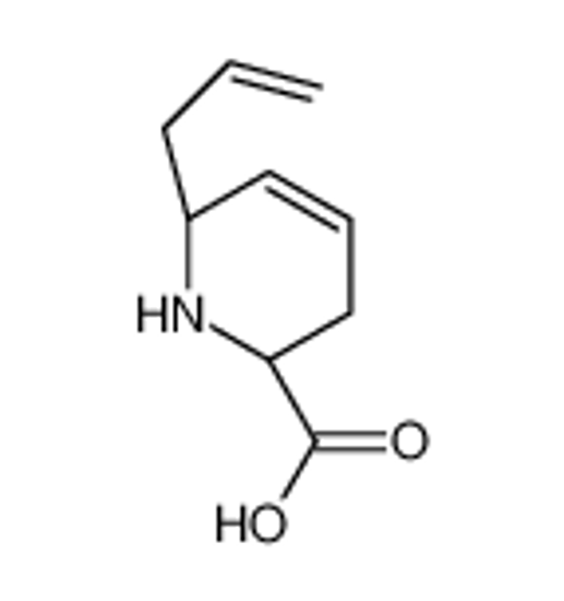 Picture of (2S,6S)-6-prop-2-enyl-1,2,3,6-tetrahydropyridine-2-carboxylic acid
