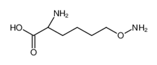Picture of (2S)-2-amino-6-aminooxyhexanoic acid