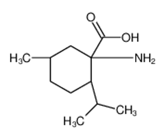 Picture of (1S,2S,5R)-1-amino-5-methyl-2-propan-2-ylcyclohexane-1-carboxylic acid