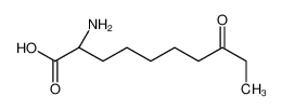 Picture of (2S)-2-amino-8-oxodecanoic acid