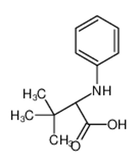 Изображение (2S)-2-anilino-3,3-dimethylbutanoic acid