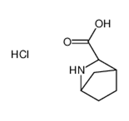 Изображение (1S,2S,4R)-3-azabicyclo[2.2.1]heptane-2-carboxylic acid,hydrochloride