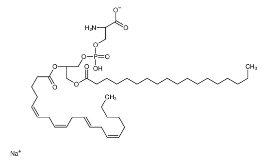 Picture of sodium,(2S)-2-azaniumyl-3-[[(2R)-2-[(5Z,8Z,11Z,14Z)-icosa-5,8,11,14-tetraenoyl]oxy-3-octadecanoyloxypropoxy]-oxidophosphoryl]oxypropanoate