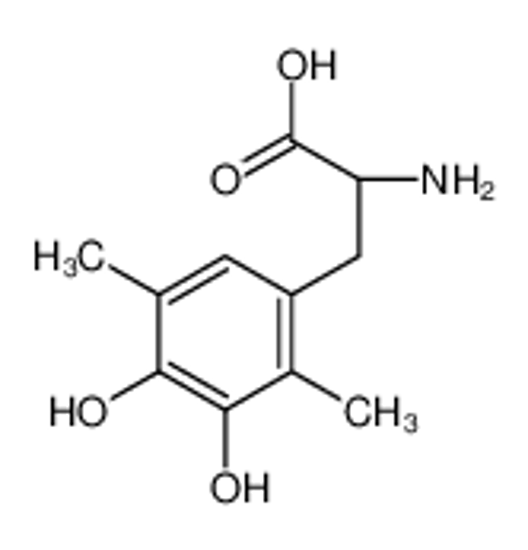 Picture of (2S)-2-amino-3-(3,4-dihydroxy-2,5-dimethylphenyl)propanoic acid