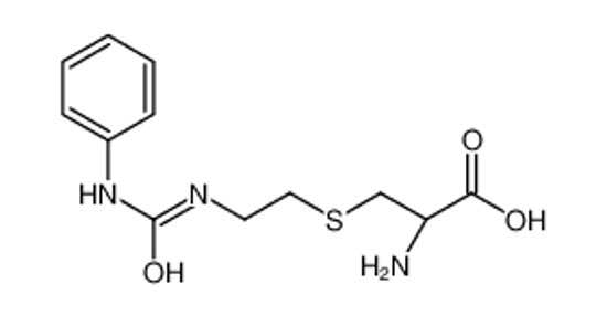 Picture of (2R)-2-amino-3-[2-(phenylcarbamoylamino)ethylsulfanyl]propanoic acid