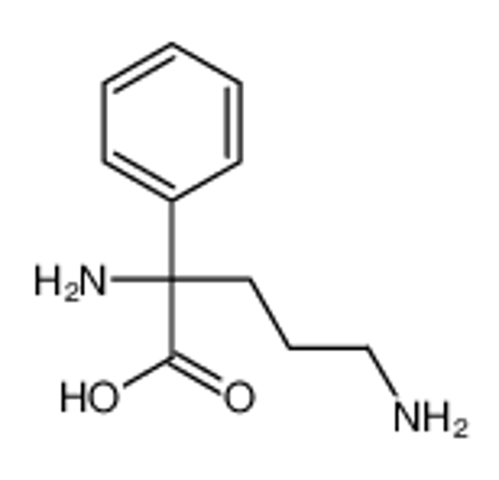 Picture of (2R)-2,5-diamino-2-phenylpentanoic acid