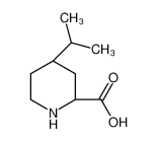Picture of (2S,4S)-4-propan-2-ylpiperidine-2-carboxylic acid