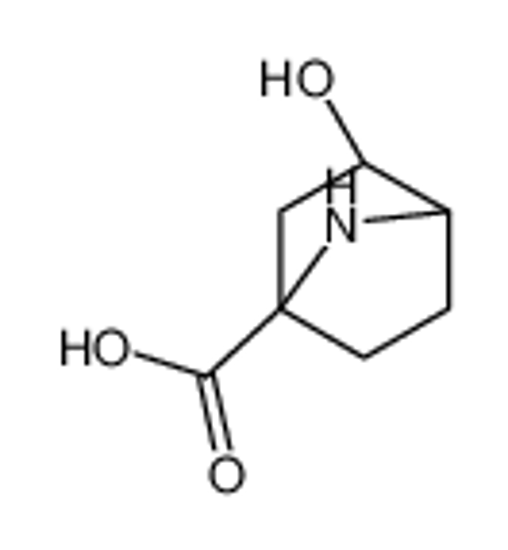 Picture of (1R,2R,4S)-2-hydroxy-7-azabicyclo[2.2.1]heptane-4-carboxylic acid